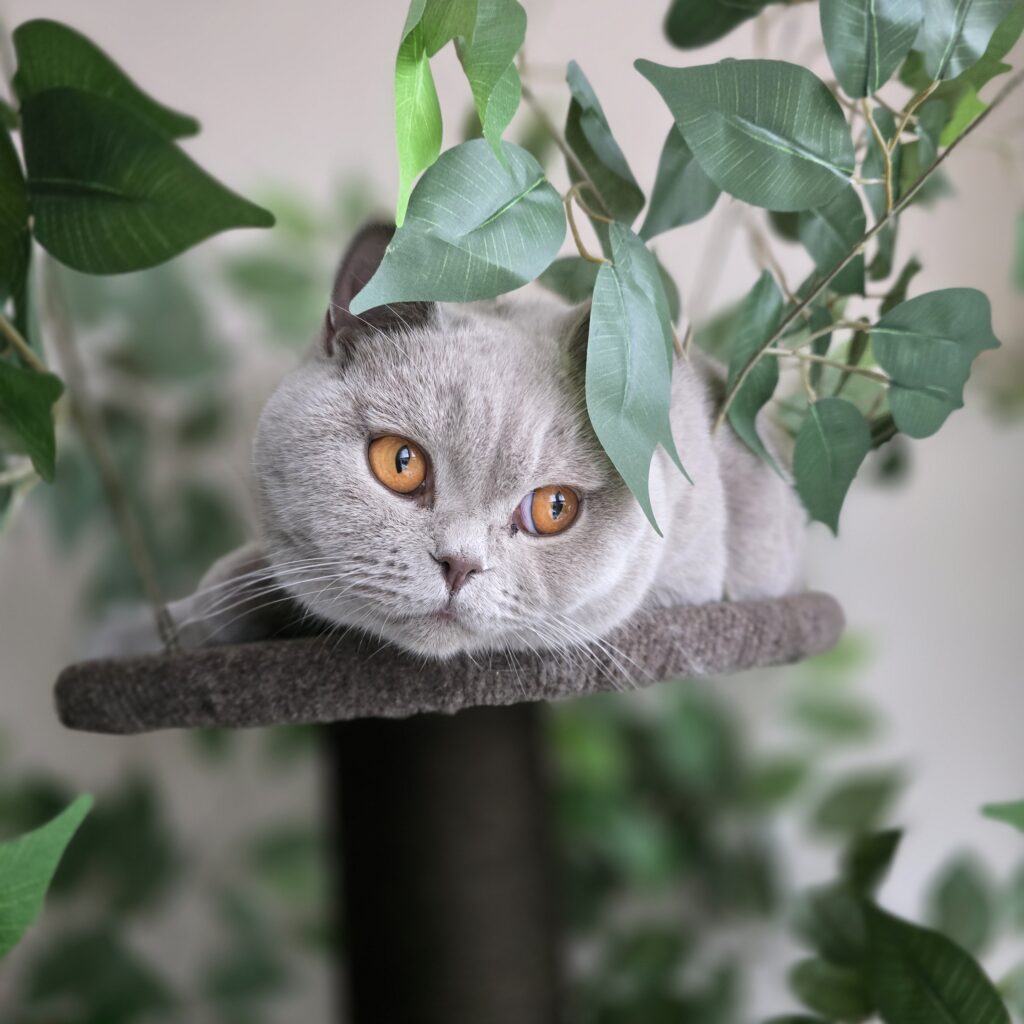 20250215_163719 20250215 163719 1024x1024