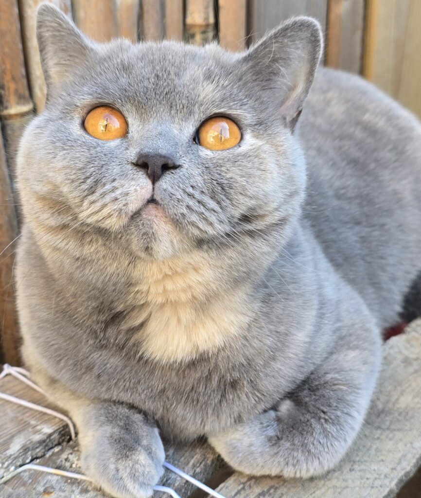 20250402 180209 1 866x1024