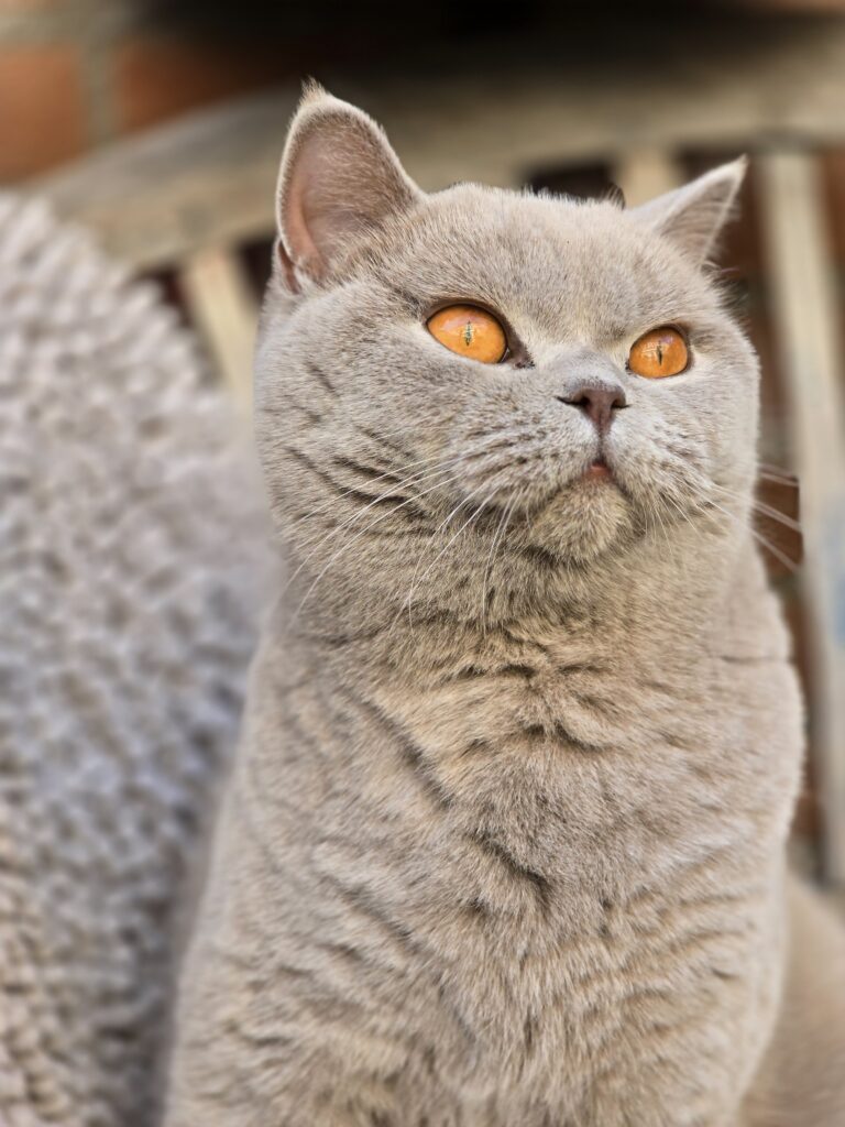 20250402 180312 768x1024