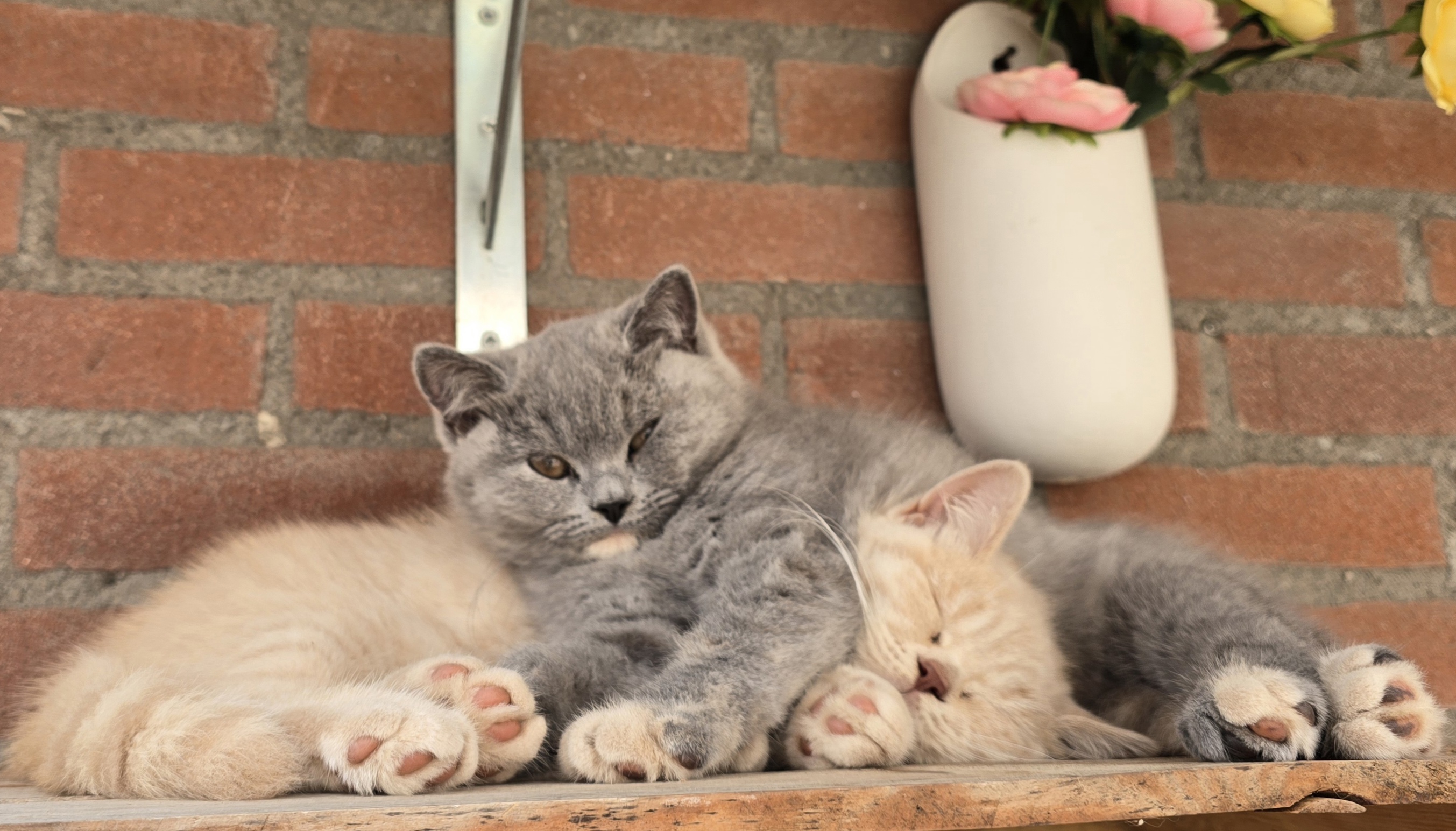 Over ons 20250803 155537 1