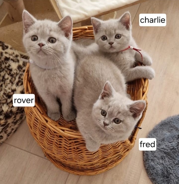 Over ons IMG 20240712 WA0002