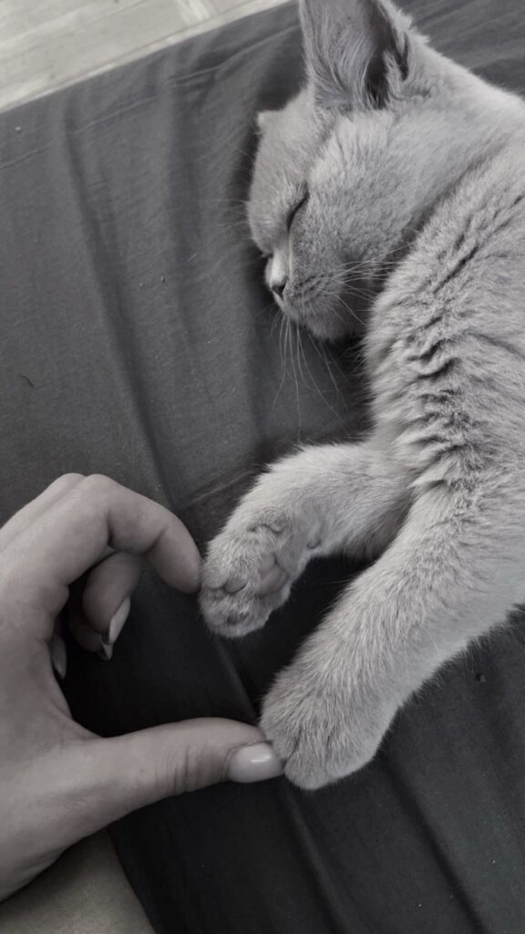 IMG 20251022 WA0003 576x1024