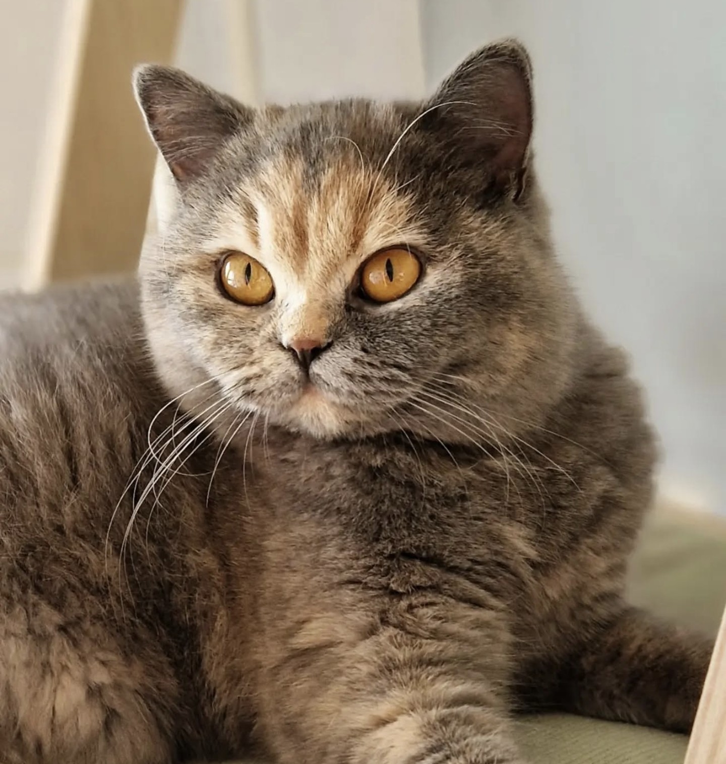 Screenshot 20250710 161959 Instagram 1